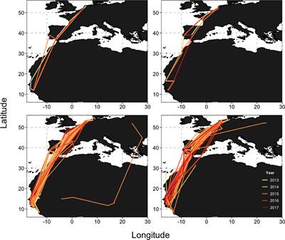 High Migratory Survival and Highly Variable Migratory Behavior in Black-Tailed Godwits